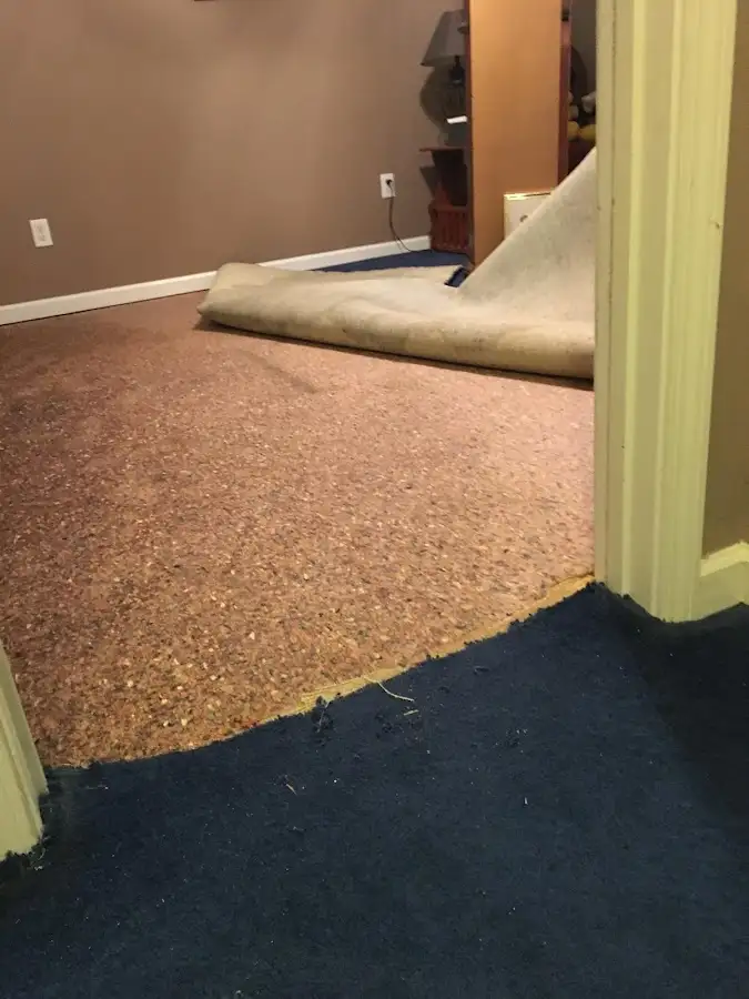 Carpet pad removal revealing water damage during Water Mitigation Services in Belvidere