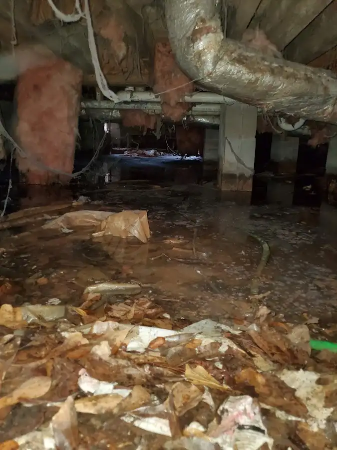 Crawl space flood assessment for Leak Detection & Repair in Belvidere