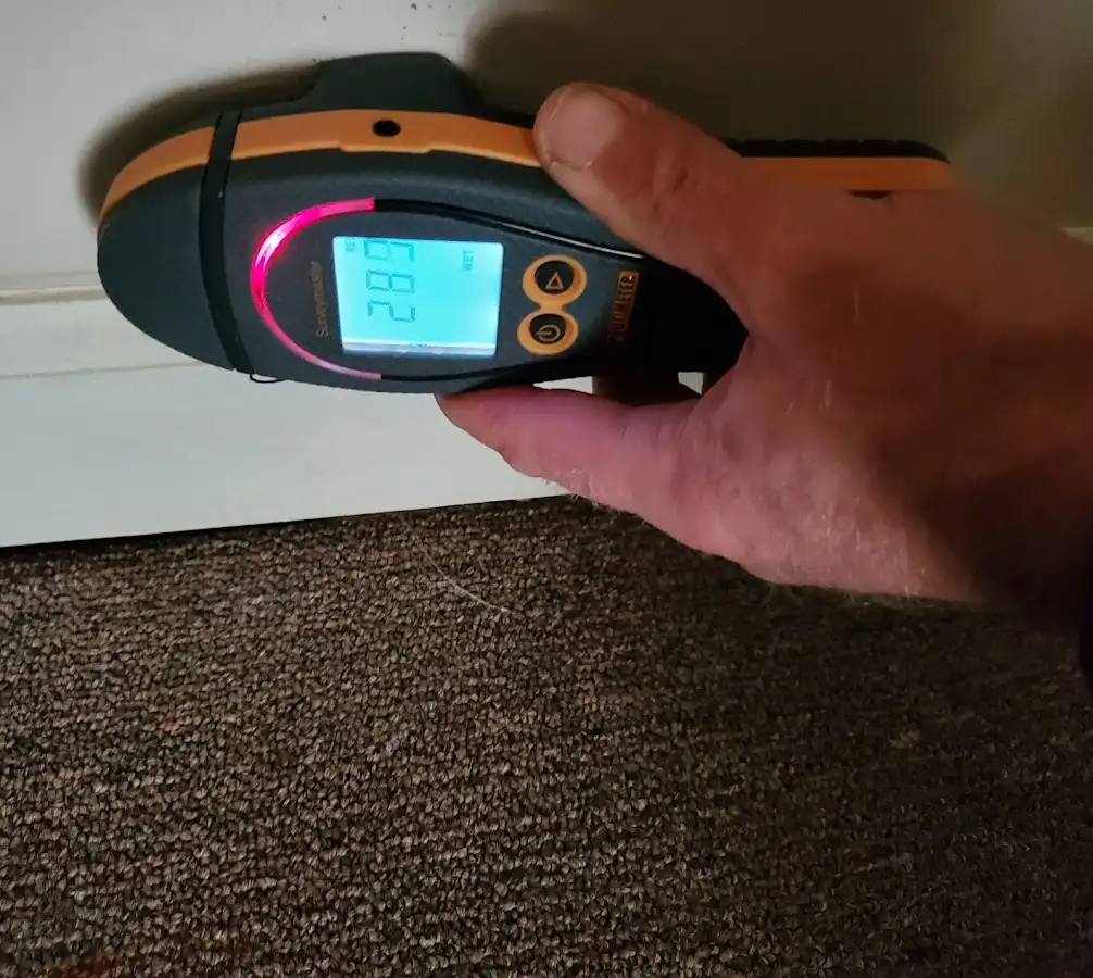 Moisture detection at baseboard during Mold Inspection & Testing in Belvidere