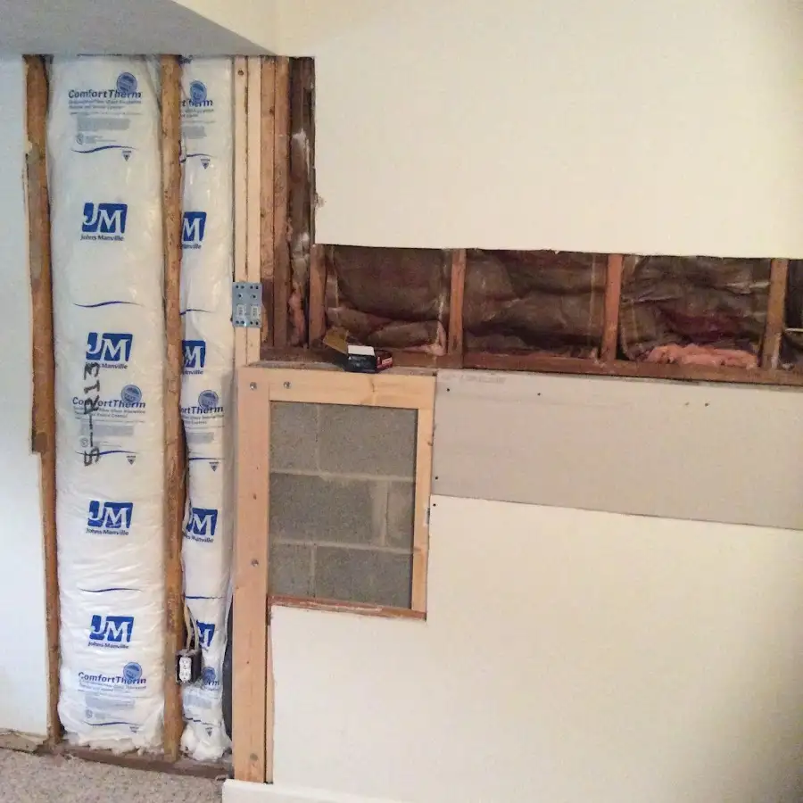 Wall insulation replacement during Odor Removal & Deodorization in Belvidere